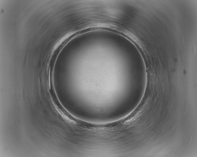 X0000068271127200604211103