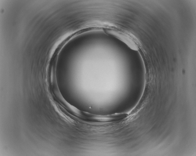 X0000068271128200604211103