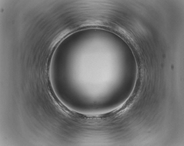 X0000068271129200604211103