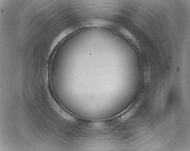 X0000068271130200604211103