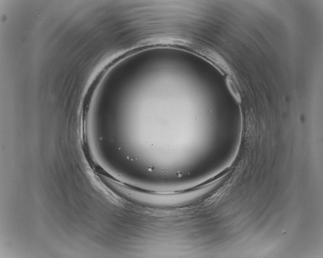 X0000068271132200604211103