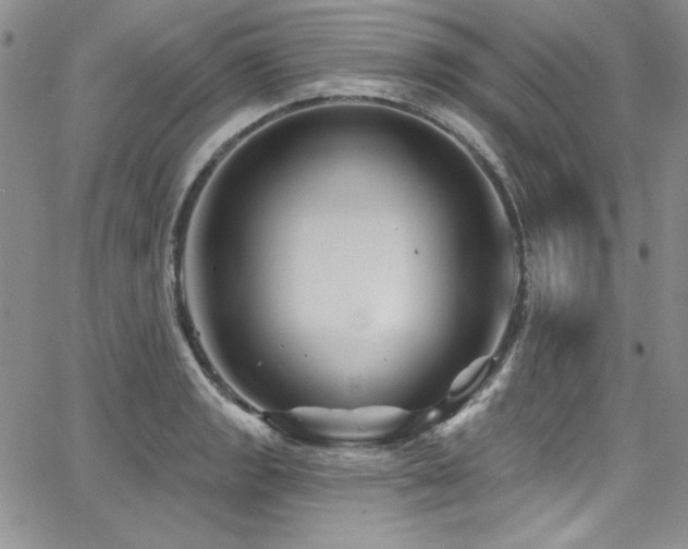 X0000068271133200604211103