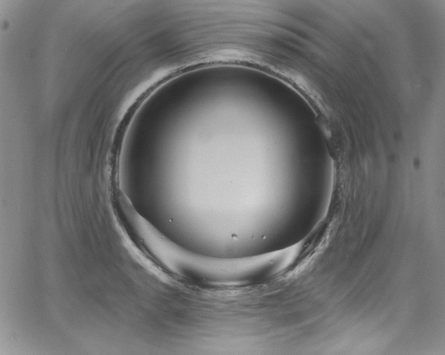 X0000068271134200604211103