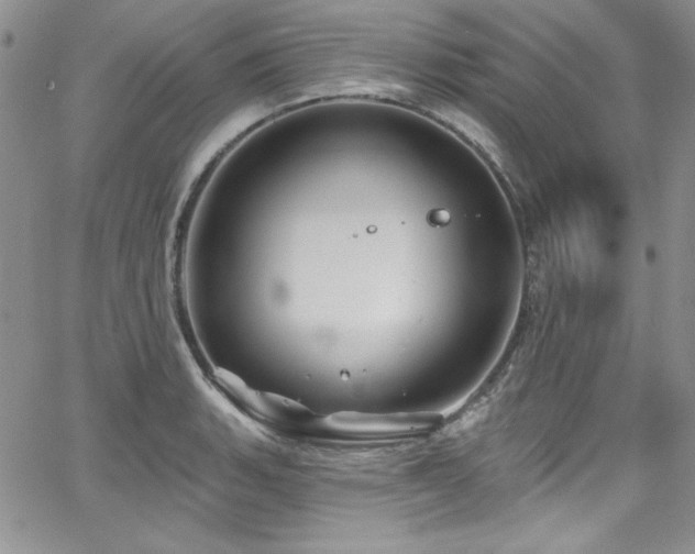 X0000068271135200604211103