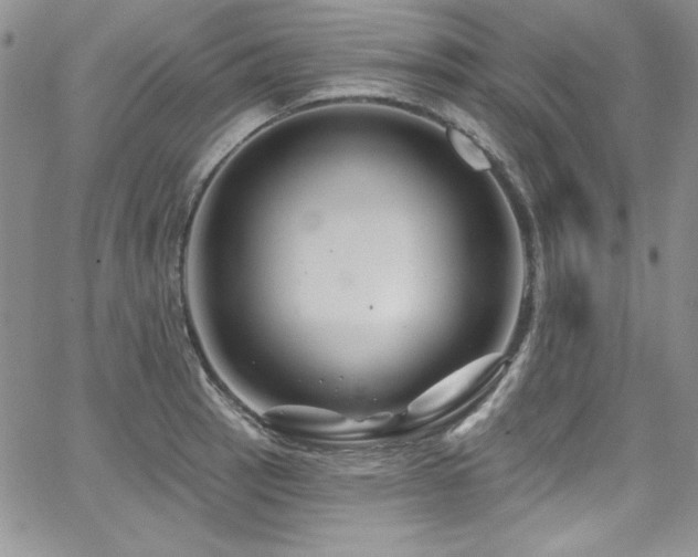 X0000068271137200604211103