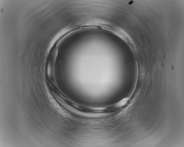 X0000068271138200604211103