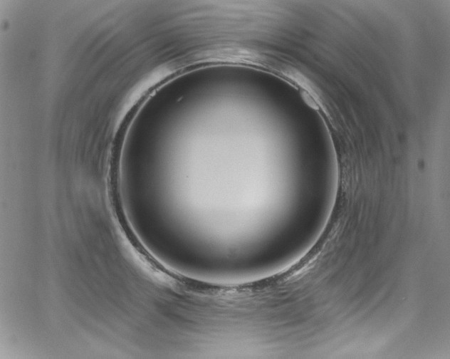 X0000068271139200604211103