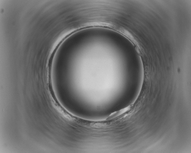 X0000068271140200604211103