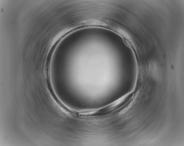 X0000068271141200604211103