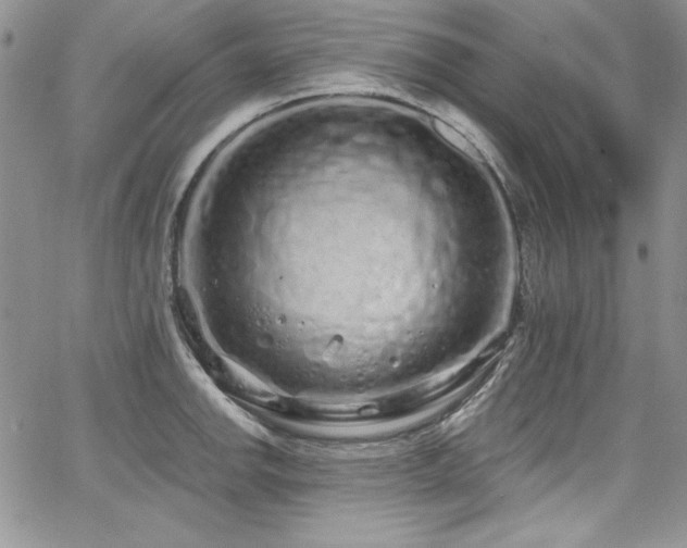 X0000068271142200604211103