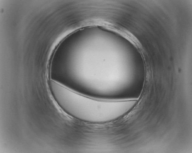 X0000068271144200604211104