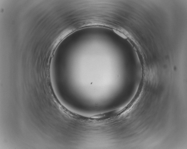 X0000068271145200604211104