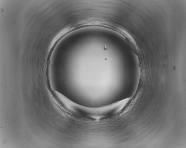 X0000068271146200604211104