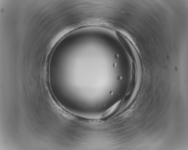 X0000068271147200604211104