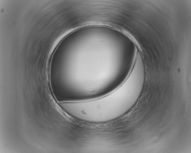 X0000068271148200604211104