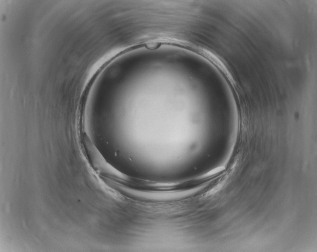 X0000068271149200604211104