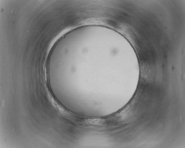 X0000068271150200604211104