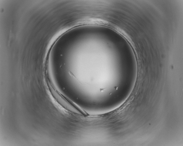 X0000068271152200604211104