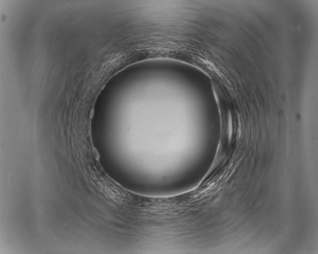 X0000068271153200604211103