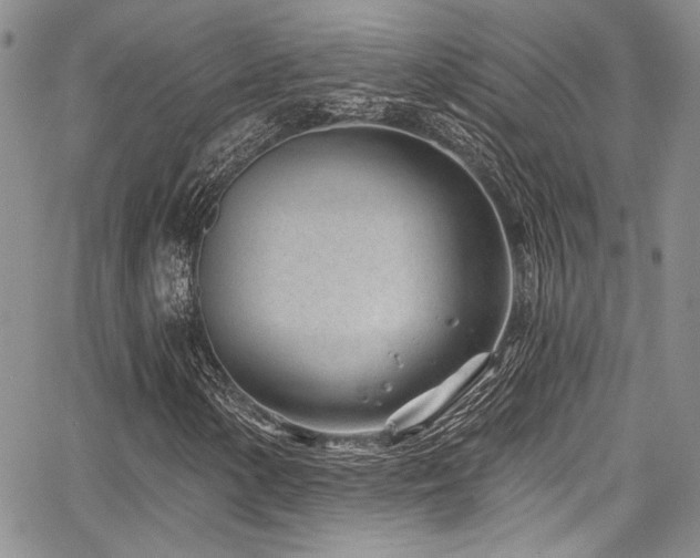 X0000068271154200604211103