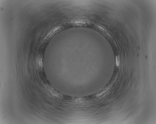 X0000068271155200604211103