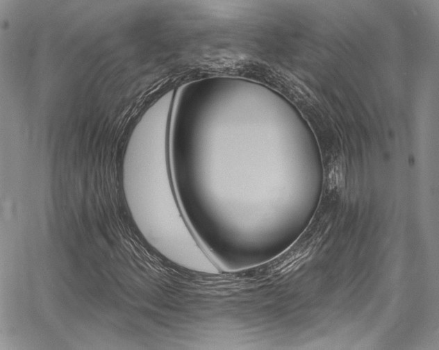 X0000068271156200604211103