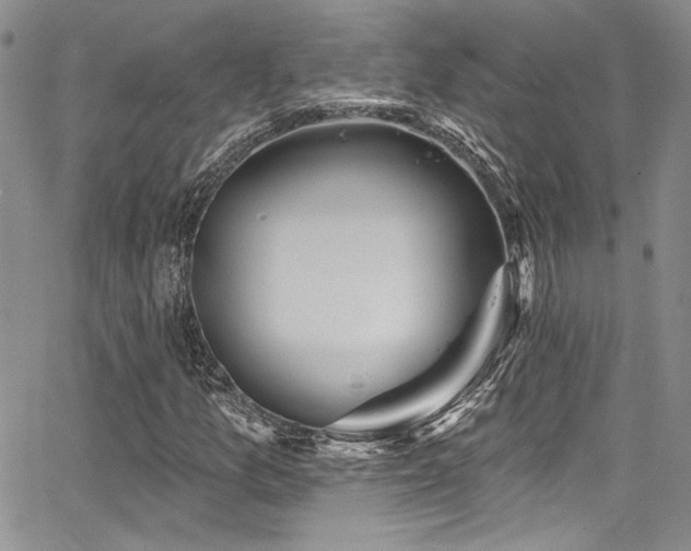 X0000068271157200604211103