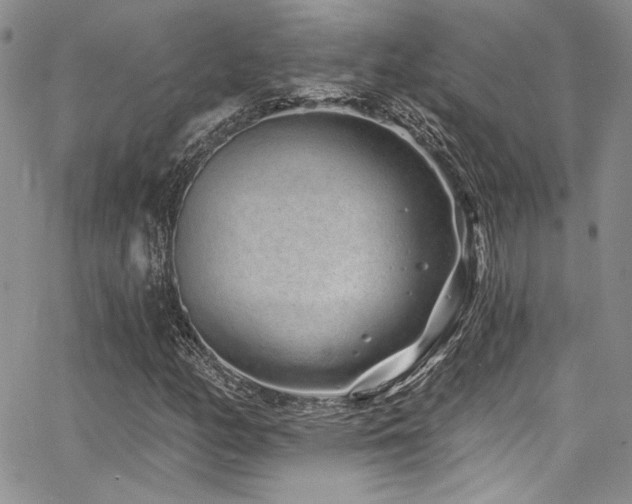 X0000068271158200604211103