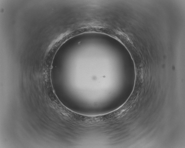 X0000068271159200604211103