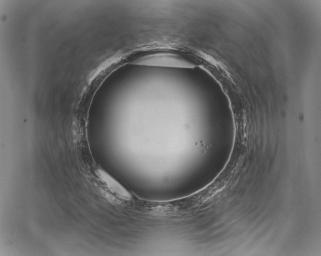 X0000068271160200604211103