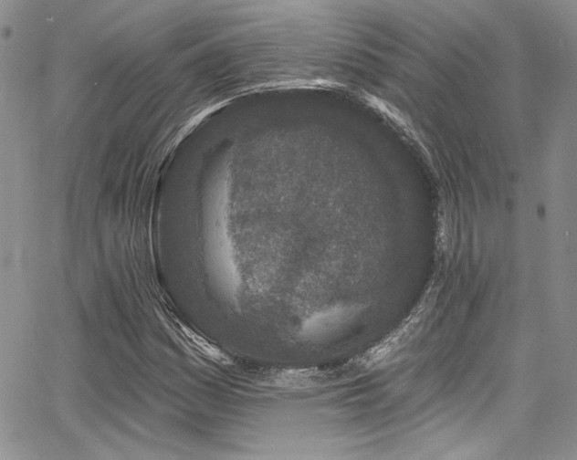 X0000068271161200604211103