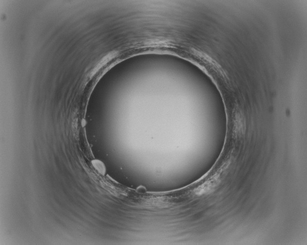 X0000068271162200604211103