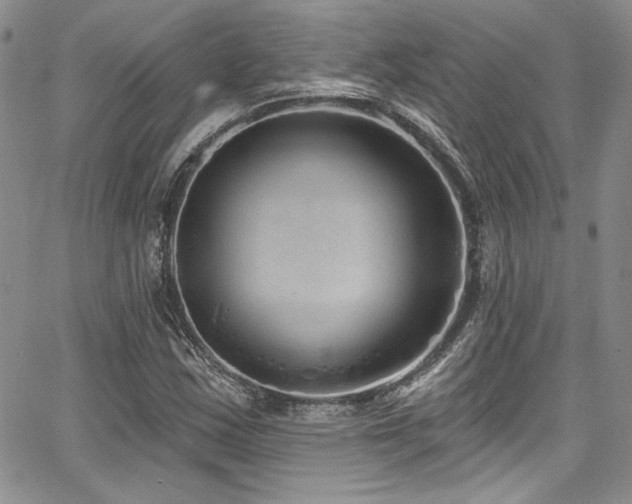 X0000068271163200604211103