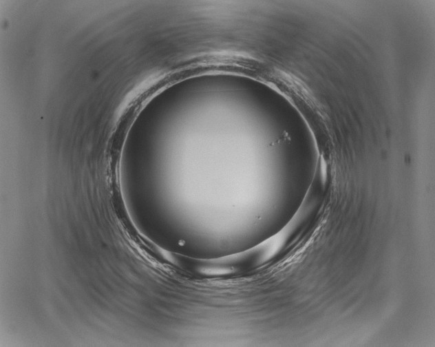 X0000068271164200604211103