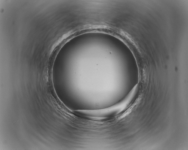 X0000068271165200604211103