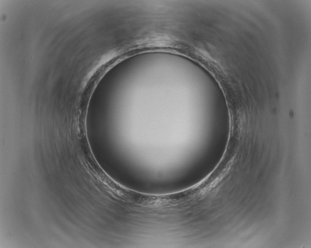 X0000068271166200604211103