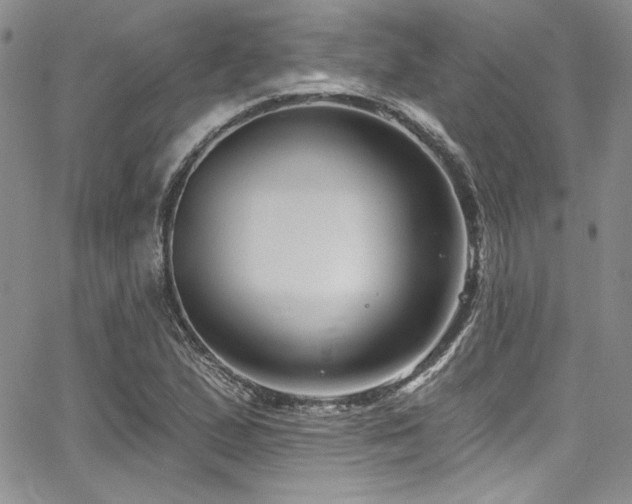 X0000068271167200604211103