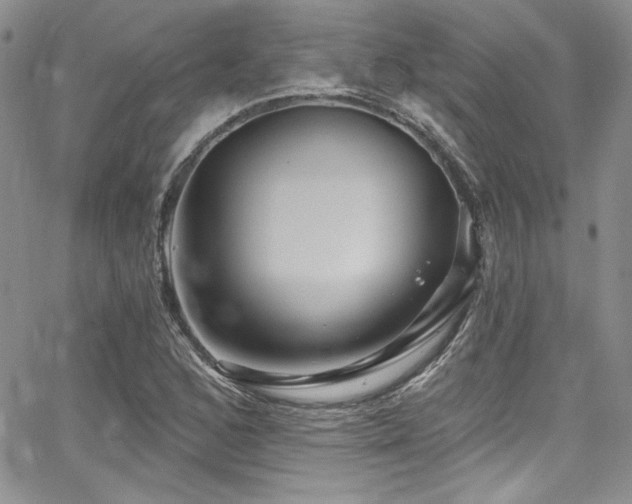 X0000068271168200604211103