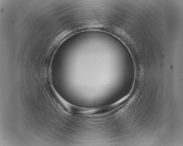 X0000068271169200604211103