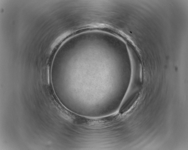 X0000068271171200604211103