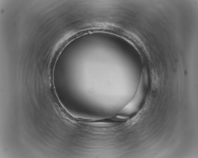 X0000068271172200604211103