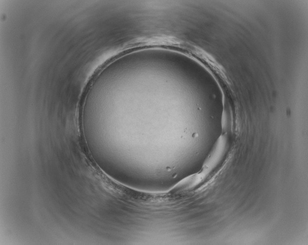 X0000068271174200604211102