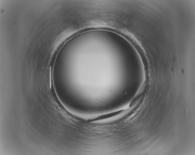 X0000068271175200604211102