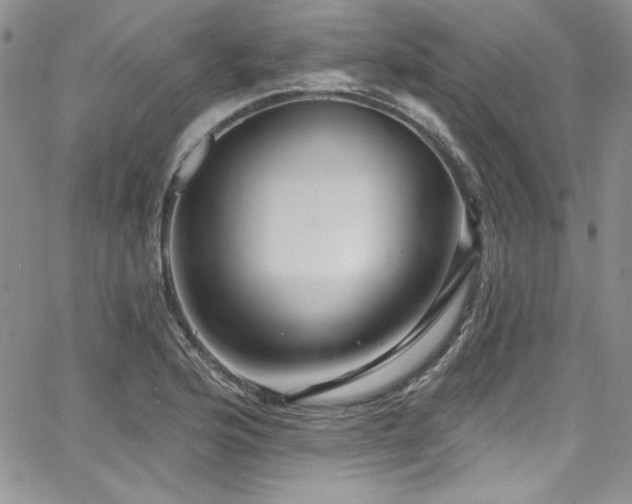 X0000068271176200604211102