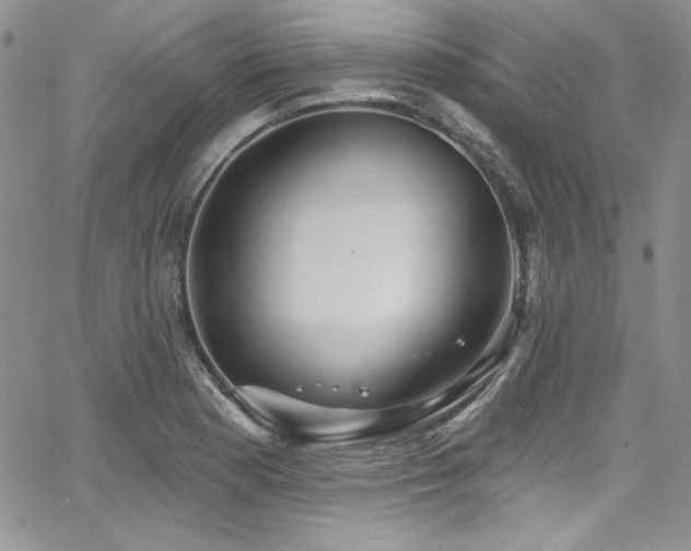 X0000068271177200604211102