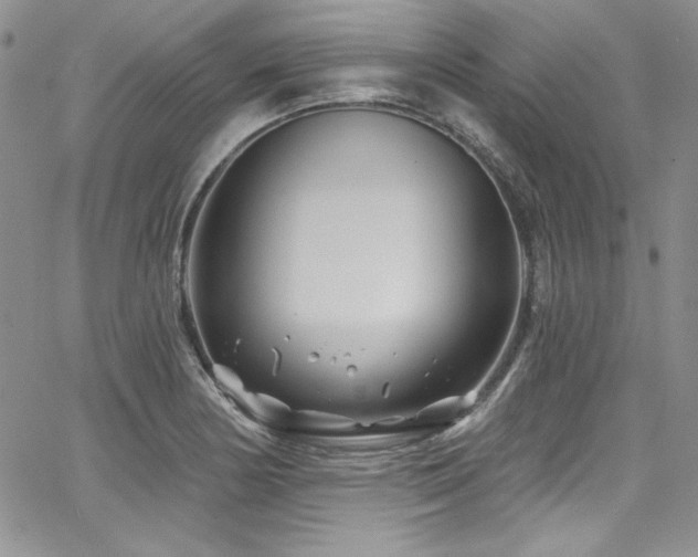 X0000068271178200604211102