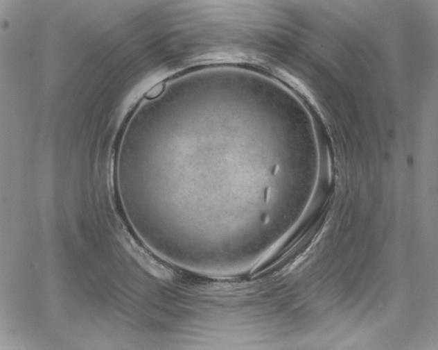 X0000068271179200604211102