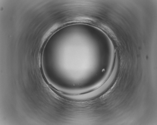 X0000068271180200604211102