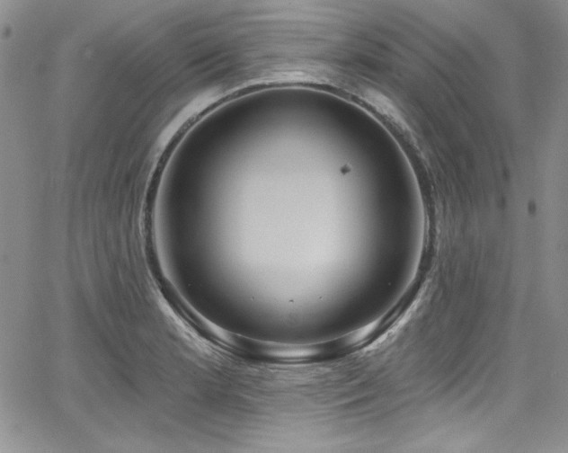 X0000068271181200604211102