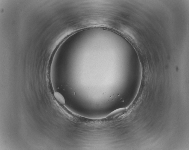 X0000068271182200604211102